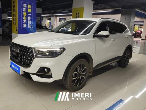2024 Haval H6 2023 National Trend Edition 1.5T Automatic Urban Version - ავტომობილი ჩინეთიდან