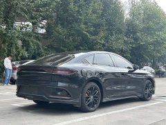 BYD DM-p Edition - ფოტო 5