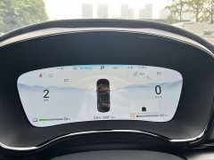 BYD DM-p Edition - ფოტო 9