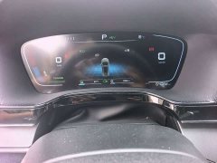 BYD Yuan Plus DM-i 2021 112KM Premium Edition - ფოტო 8