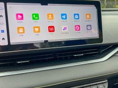 Geely Xingrui 1.5T Diesel Fuyao Edition - ფოტო 8