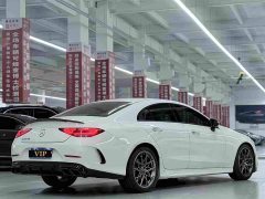 Mercedes-Benz CLS 300 Luxury - ფოტო 3
