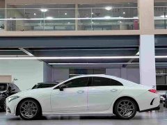 Mercedes-Benz CLS 300 Luxury - ფოტო 6