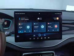 BYD Tang New Energy 2021 DM-i 112KM Premium Edition - ფოტო 13