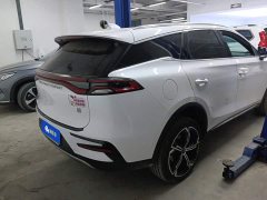 BYD Tang New Energy 2021 DM-i 112KM Premium Edition - ფოტო 3
