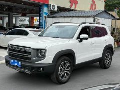 Great Wall Dachshund 1.5T DCT Border Collie Edition - ფოტო 1