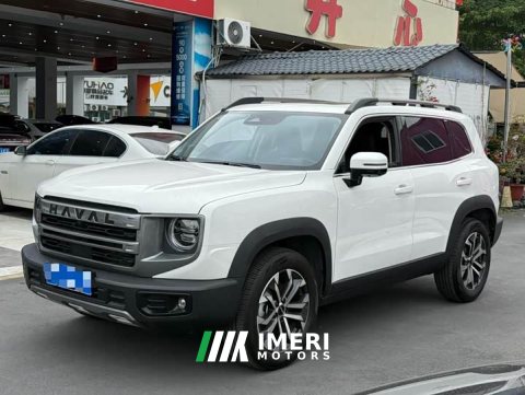 2024 Great Wall Dachshund 1.5T DCT Border Collie Edition - ავტომობილი ჩინეთიდან