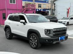 Great Wall Dachshund 1.5T DCT Border Collie Edition - ფოტო 3