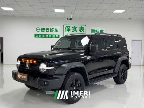 2025 Tank 300 2.0T Gasoline Conqueror - ავტომობილი ჩინეთიდან