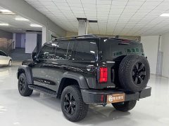 Tank 300 2.0T Gasoline Conqueror - ფოტო 7