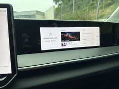 Volkswagen Lanhun 450TSI AWD Supreme - ფოტო 20