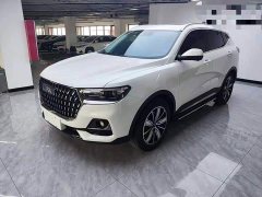 Haval H6 2023 National Trend Edition 1.5T Automatic Champion Version - ფოტო 1