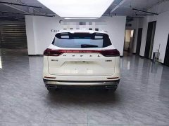 Haval H6 2023 National Trend Edition 1.5T Automatic Champion Version - ფოტო 5