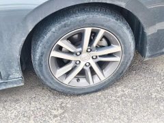 Honda Civic 240TURBO CVT Dynamic Edition - ფოტო 6