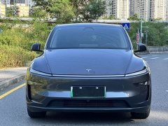 Tesla Model Y Rear-Wheel Drive - ფოტო 2