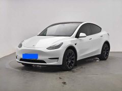 Tesla Model Y Long Range All-Wheel Drive - ფოტო 1