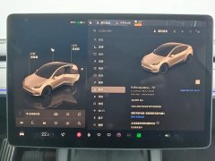 Tesla Model Y Long Range All-Wheel Drive - ფოტო 5