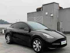 Tesla Model Y 2022 Facelift Rear-Wheel Drive - ფოტო 2