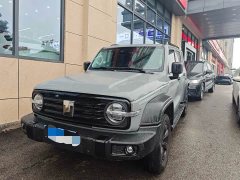 Tank 300 2.0T Third Anniversary Limited Edition - ფოტო 1
