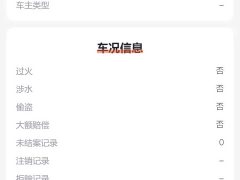 BYD Qin PLUS Glory Edition DM-i 55KM Leading - ფოტო 14