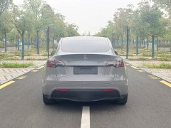Tesla Model Y Rear-Wheel Drive - ფოტო 12