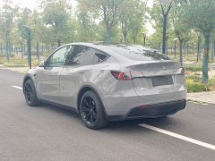 Tesla Model Y Rear-Wheel Drive - ფოტო 13