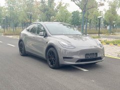 Tesla Model Y Rear-Wheel Drive - ფოტო 3