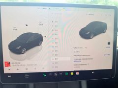 Tesla Model Y Rear-Wheel Drive - ფოტო 6