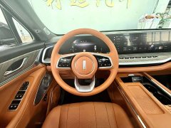 Great Wall WEY Blue Mountain 2023 Four-Wheel Drive Extended Range Version - ფოტო 9