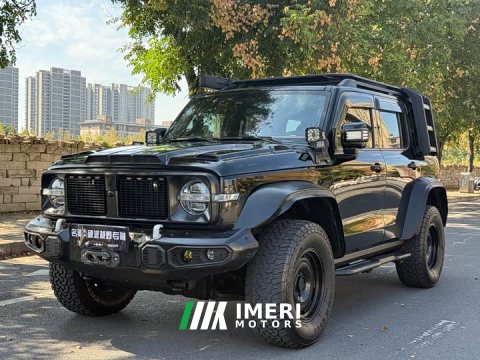 2022 Tank 300 2021 Off-Road Edition 2.0T Conqueror - ავტომობილი ჩინეთიდან