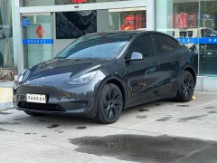 Tesla Model Y Rear-Wheel Drive - ფოტო 3
