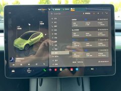 Tesla Model Y Rear-Wheel Drive - ფოტო 9