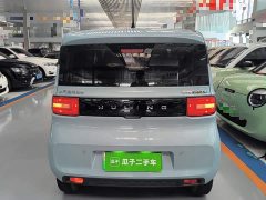 Wuling Hongguang MINIEV 2022 Easy Edition LFP Battery - ფოტო 3