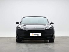 Tesla Model 3 Standard Range RWD Upgrade - ფოტო 2