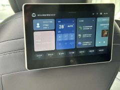 Maxus G90 2023 2.0T Interstellar Flagship Edition - ფოტო 19