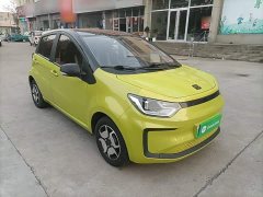 Flower Fairy 302km Luxury 30.2kWh - фото 3
