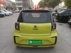 Flower Fairy 302km Luxury 30.2kWh - фото 5
