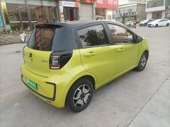Flower Fairy 302km Luxury 30.2kWh - фото 6