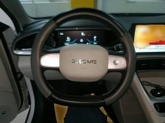 Geely Star Wish 410km Comfort Edition - ფოტო 10