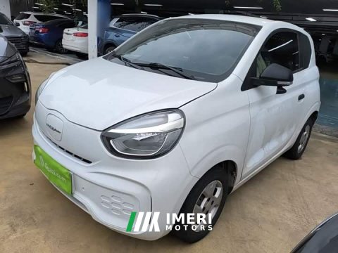 2021 SAIC Corey Wei CLEVER 302km All-Purpose Edition - ავტომობილი ჩინეთიდან