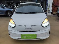 SAIC Corey Wei CLEVER 302km All-Purpose Edition - ფოტო 2