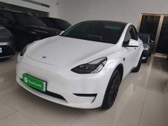 Tesla Model Y Rear-Wheel Drive - ფოტო 1