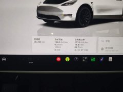 Tesla Model Y Rear-Wheel Drive - ფოტო 11