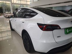 Tesla Model Y Rear-Wheel Drive - ფოტო 4