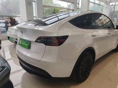 Tesla Model Y Rear-Wheel Drive - ფოტო 6