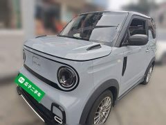 Geely Panda 200km Panda Kart - ფოტო 1