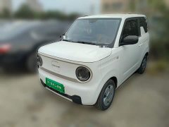 Geely Panda Mini 200km Endurance Edition - ფოტო 1