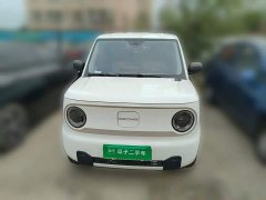 Geely Panda Mini 200km Endurance Edition - ფოტო 2