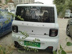 Geely Panda Mini 200km Endurance Edition - ფოტო 3