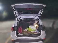 BMW X1 sDrive20Li Fashion - ფოტო 15